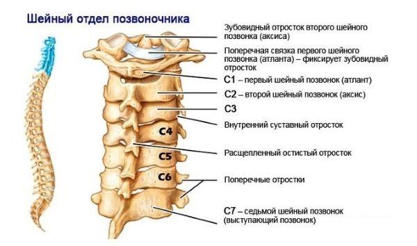 Манга Женщина судмедэксперт династии Тан. - Глава Глава 1 – Династия Тан Страница 1