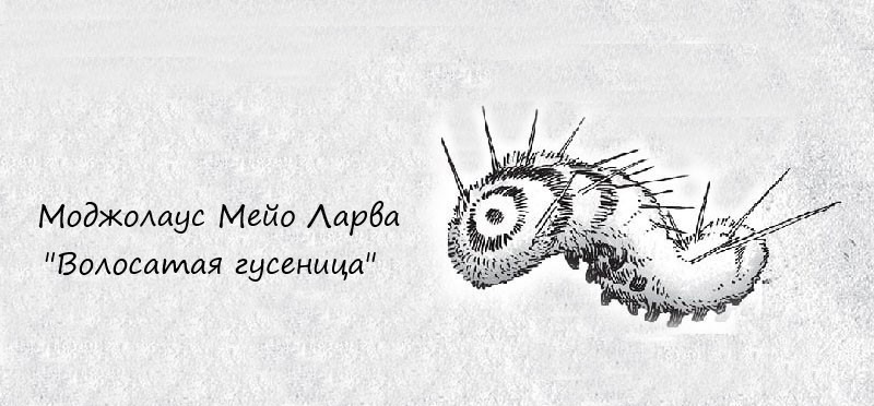 Манга Последний выживший алхимик хочет спокойно жить в городе - Глава Глава 10: 2-этаж, юго-западня коридор Страница 1