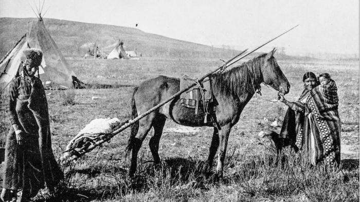 Манга Моя эволюция в новом мире - Глава Глава 089: Весной на дубу. Страница 2